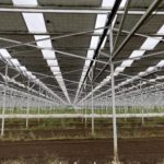 営農型太陽光発電/ソーラーシェアリング
